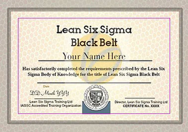 Black Belt Training Online | Lean Six Sigma Training and Certification