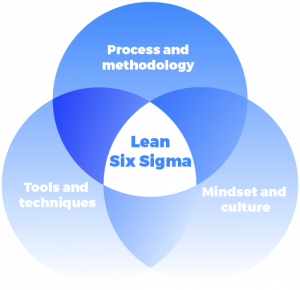 Executive management Lean Six Sigma Training